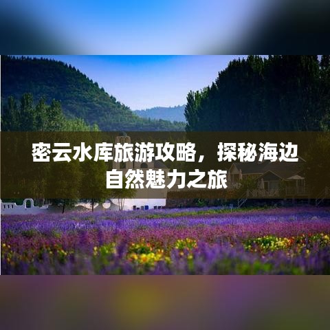 密云水库旅游攻略，探秘海边自然魅力之旅