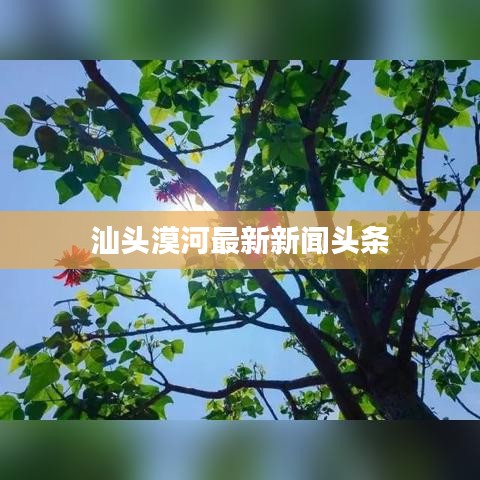 汕头漠河最新新闻头条