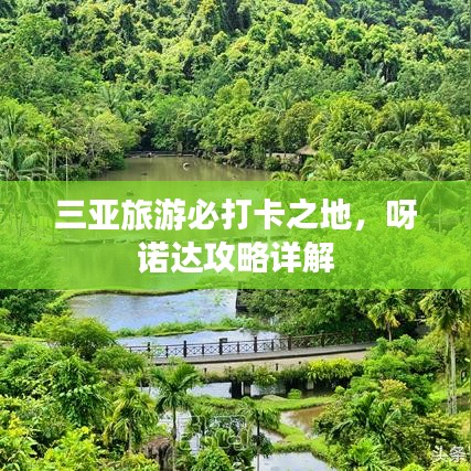 三亚旅游必打卡之地，呀诺达攻略详解