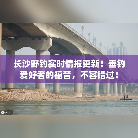 长沙野钓实时情报更新！垂钓爱好者的福音，不容错过！