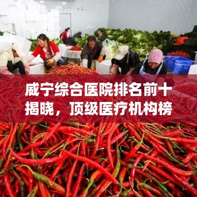 威宁综合医院排名前十揭晓，顶级医疗机构榜单重磅出炉！