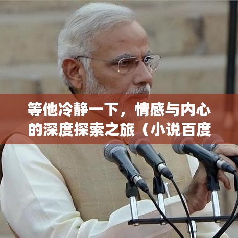 等他冷静一下，情感与内心的深度探索之旅（小说百度云版）