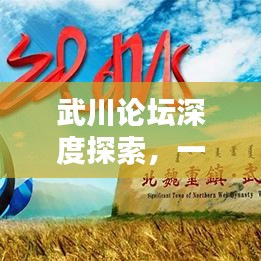 武川论坛深度探索，一网打尽热点话题与精彩内容