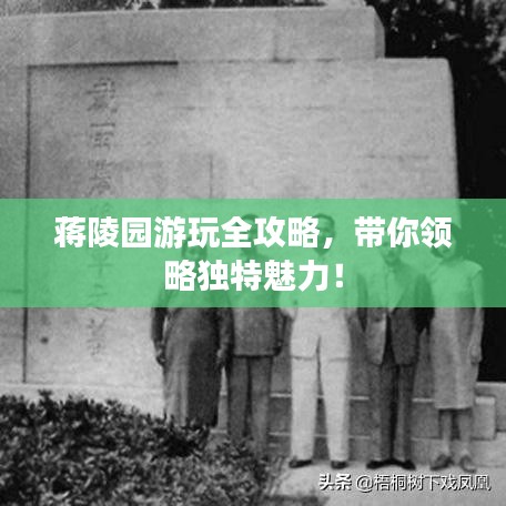 蒋陵园游玩全攻略，带你领略独特魅力！