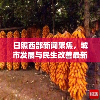 日照西部新闻聚焦，城市发展与民生改善最新动态