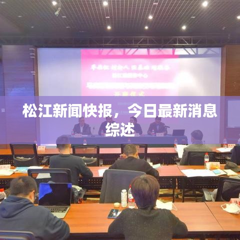 松江新闻快报，今日最新消息综述