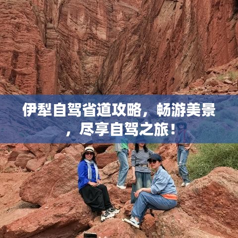 伊犁自驾省道攻略，畅游美景，尽享自驾之旅！