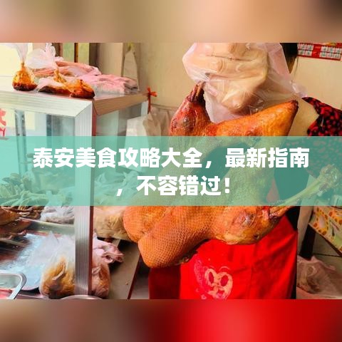 泰安美食攻略大全，最新指南，不容错过！