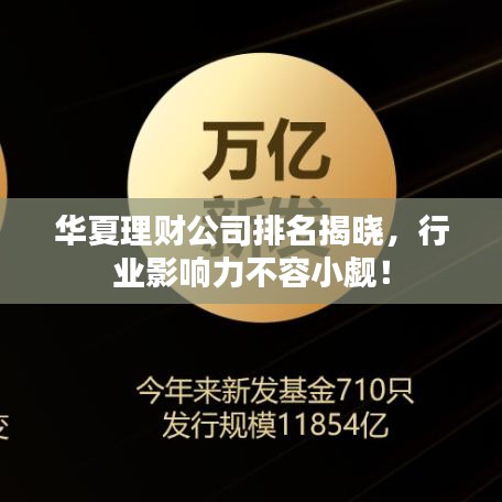 华夏理财公司排名揭晓，行业影响力不容小觑！