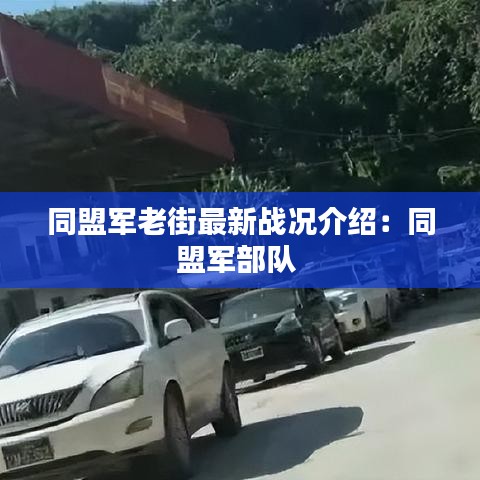 同盟军老街最新战况介绍：同盟军部队 