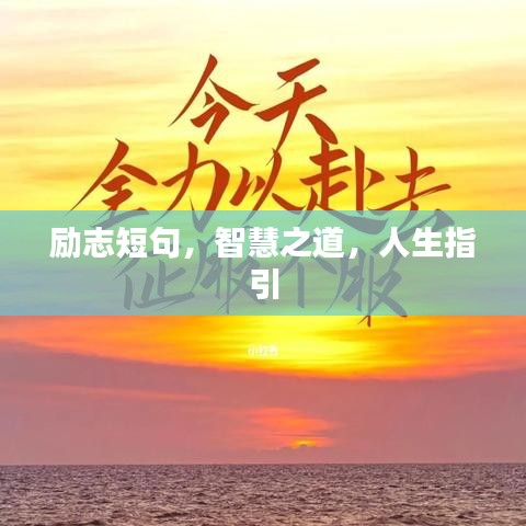 刚毅木讷 第2页