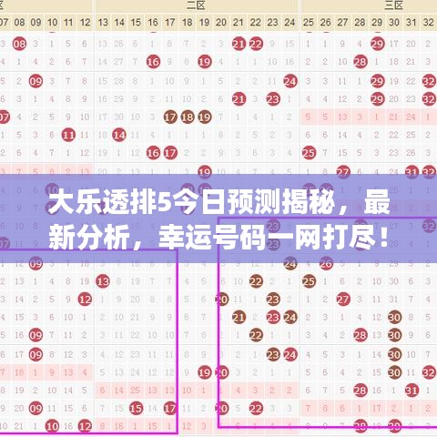 大乐透排5今日预测揭秘，最新分析，幸运号码一网打尽！