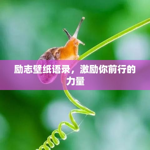 励志壁纸语录，激励你前行的力量
