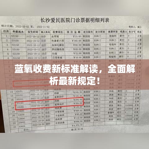 蓝氧收费新标准解读，全面解析最新规定！