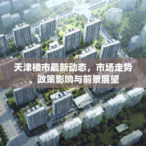 鸷鸟不群 第2页