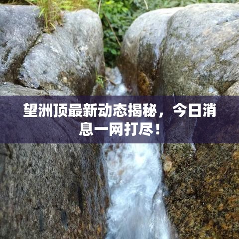 望洲顶最新动态揭秘，今日消息一网打尽！