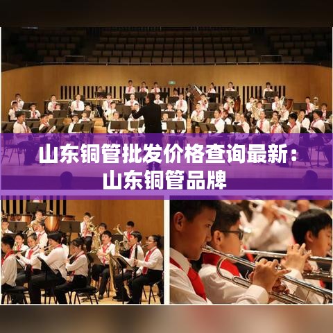 山东铜管批发价格查询最新：山东铜管品牌 