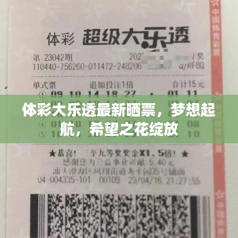体彩大乐透最新晒票，梦想起航，希望之花绽放