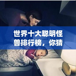 世界十大聪明怪兽排行榜，你猜谁上榜？