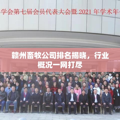赣州畜牧公司排名揭晓，行业概况一网打尽