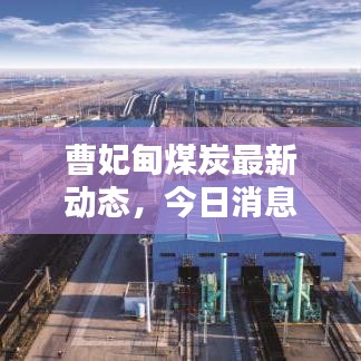 曹妃甸煤炭最新动态，今日消息一网打尽！