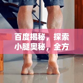 百度揭秘，探索小腿奥秘，全方位了解你的腿部信息