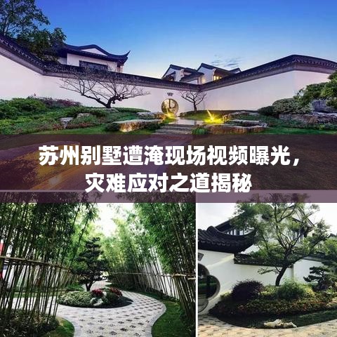 伸手不见五指 第3页