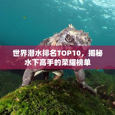 云龙井蛙 第2页