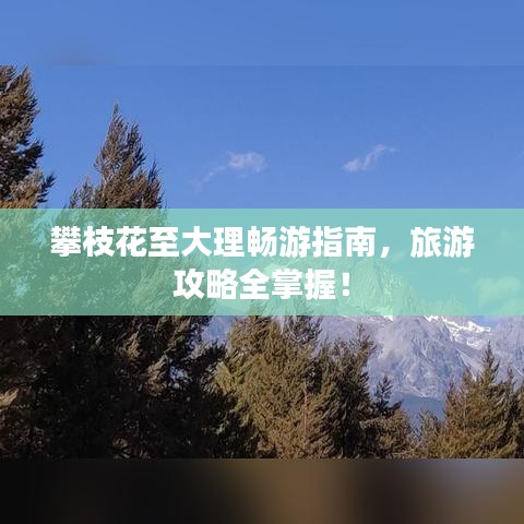 攀枝花至大理畅游指南，旅游攻略全掌握！