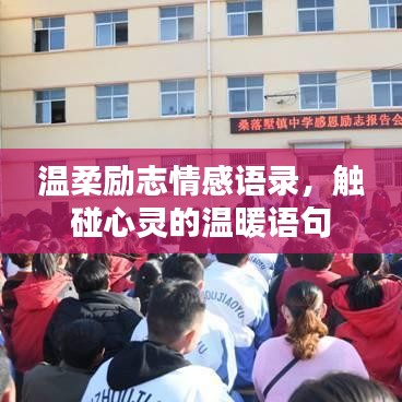 温柔励志情感语录，触碰心灵的温暖语句