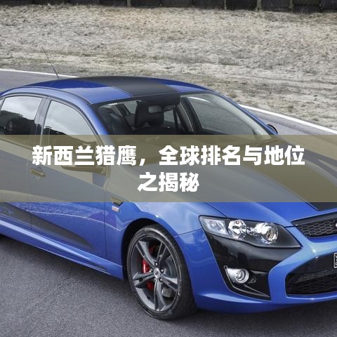 新西兰猎鹰，全球排名与地位之揭秘