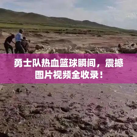 勇士队热血篮球瞬间，震撼图片视频全收录！