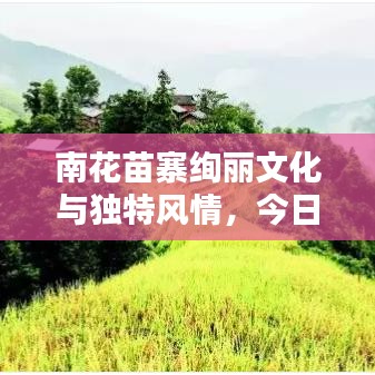 南花苗寨绚丽文化与独特风情，今日不得不看的新闻头条