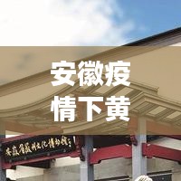 安徽疫情下黄山游玩攻略，最新指南助你安全畅游！