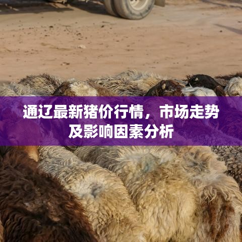 通辽最新猪价行情，市场走势及影响因素分析