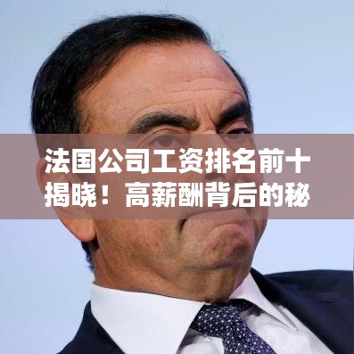 法国公司工资排名前十揭晓！高薪酬背后的秘密揭秘！