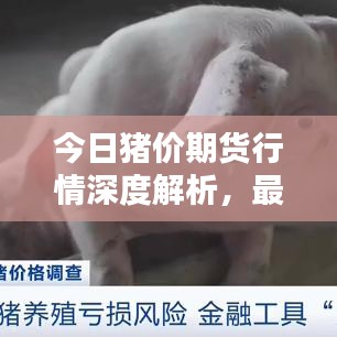 今日猪价期货行情深度解析，最新动态一网打尽