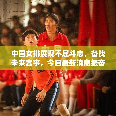 中国女排展现不屈斗志，备战未来赛事，今日最新消息振奋人心！