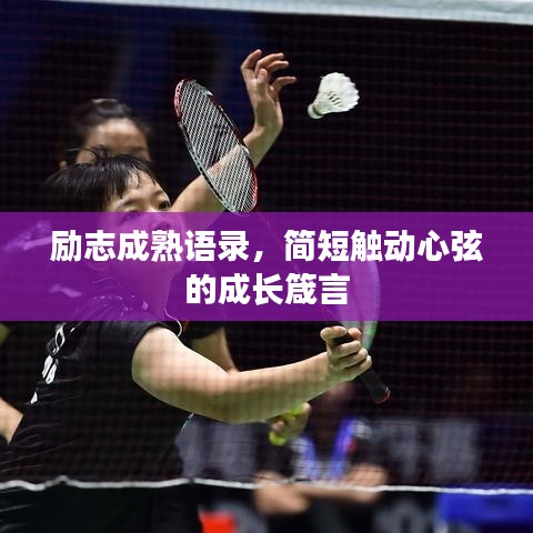 和为贵 第3页