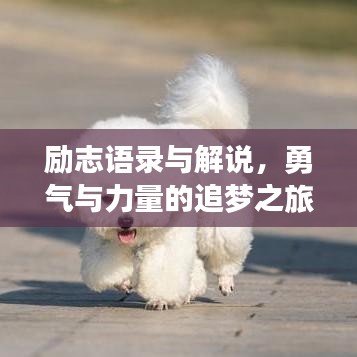 励志语录与解说，勇气与力量的追梦之旅