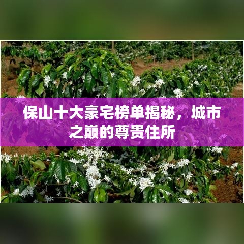 虫书鸟篆 第2页