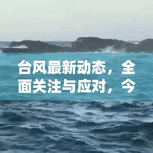台风最新动态，全面关注与应对，今日19时最新消息揭秘