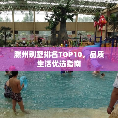金石为开 第3页
