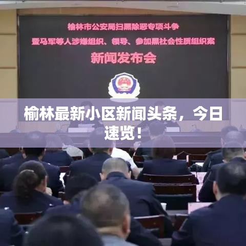 榆林最新小区新闻头条，今日速览！