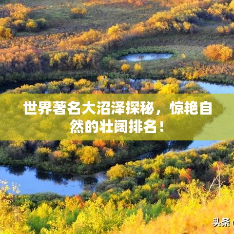 世界著名大沼泽探秘，惊艳自然的壮阔排名！