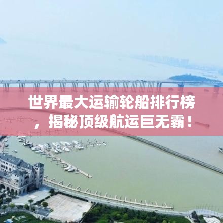 世界最大运输轮船排行榜，揭秘顶级航运巨无霸！