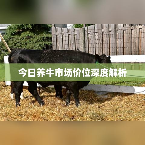 敷衍了事 第2页