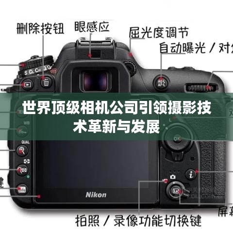 世界顶级相机公司引领摄影技术革新与发展
