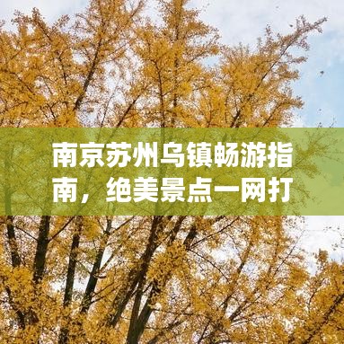 南京苏州乌镇畅游指南，绝美景点一网打尽！