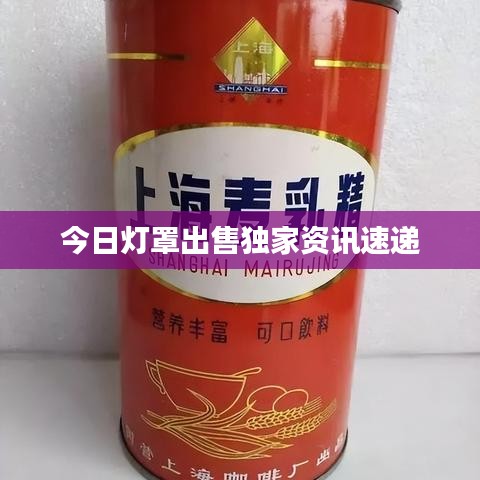 今日灯罩出售独家资讯速递